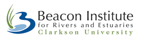 The Beacon Institute