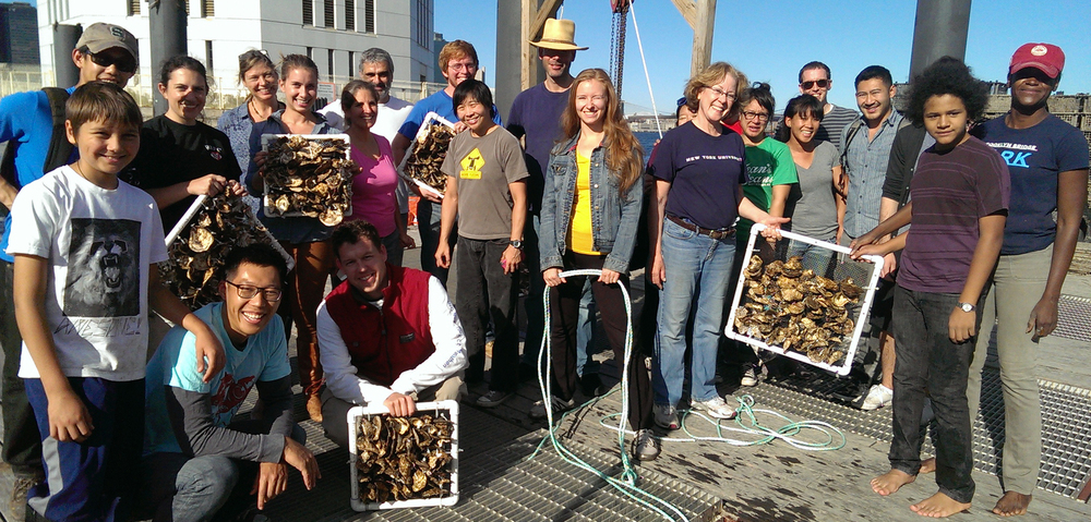 Students and teachers of the Billion Oyster Project at New York Harbor