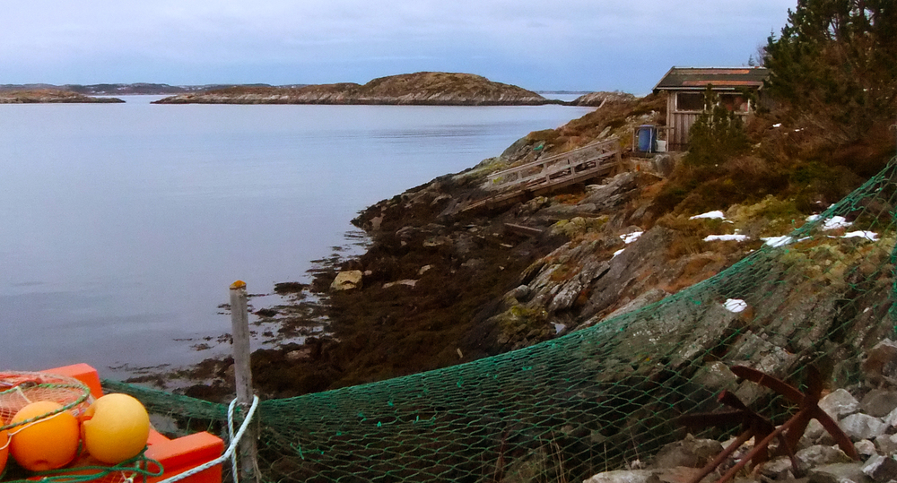 The Norwegian coastline outside of Trondheim where seaweed cultivation trials led by SINTEF Fisheries and Aquaculture are ongoing.